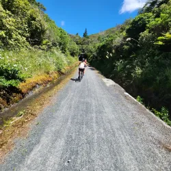 Rimutaka Rail Trail - Upper Hutt