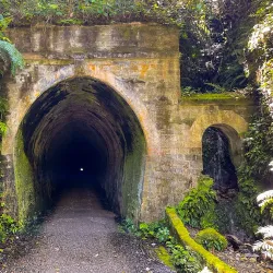 Rimutaka Rail Trail - Upper Hutt