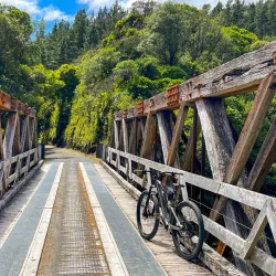 Rimutaka Rail Trail - Upper Hutt