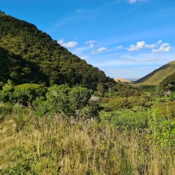 Rimutaka Rail Trail - Upper Hutt