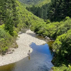 Rimutaka Rail Trail - Upper Hutt