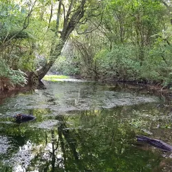 Trentham Memorial Park - Upper Hutt