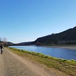 Trentham Memorial Park - Upper Hutt