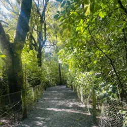 Trentham Memorial Park - Upper Hutt