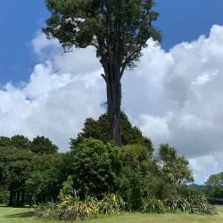 Trentham Memorial Park - Upper Hutt