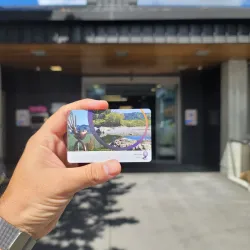 Upper Hutt City Library and Museum - Upper Hutt