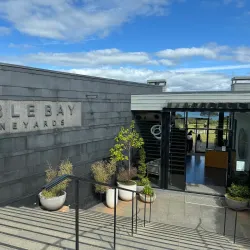 Cable Bay Vineyards - Waiheke Island