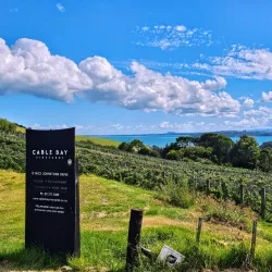 Cable Bay Vineyards - Waiheke Island