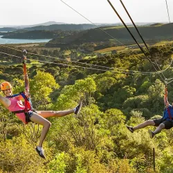 EcoZip Adventures - Waiheke Island