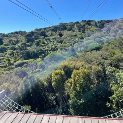 EcoZip Adventures - Waiheke Island
