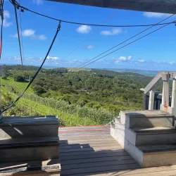 EcoZip Adventures - Waiheke Island