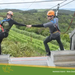EcoZip Adventures - Waiheke Island
