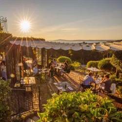 Mudbrick Vineyard & Restaurant - Waiheke Island