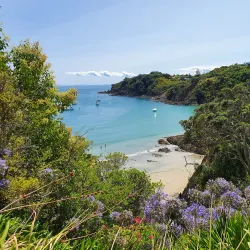 Oneroa Beach - Waiheke Island