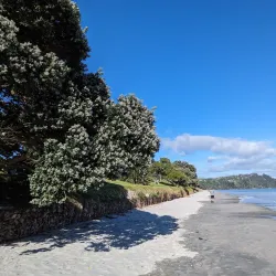 Onetangi Beach - Waiheke Island