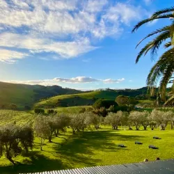 Stonyridge Vineyard - Waiheke Island
