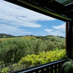 Stonyridge Vineyard - Waiheke Island