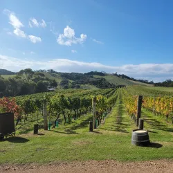 Stonyridge Vineyard - Waiheke Island