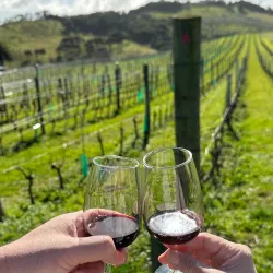 Stonyridge Vineyard - Waiheke Island