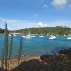 Waiheke Island Walking Trails - Waiheke Island