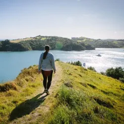 Waiheke Island Walking Trails - Waiheke Island