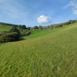 Waiheke Island Walking Trails - Waiheke Island