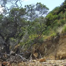 Waiheke Island Walking Trails - Waiheke Island