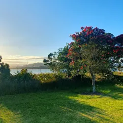 Bowentown Reserve - Waihi