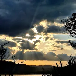 Bowentown Reserve - Waihi