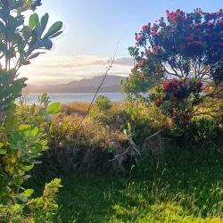 Bowentown Reserve - Waihi