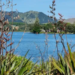 Bowentown Reserve - Waihi