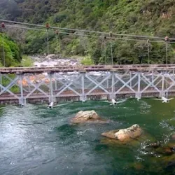 Hauraki Rail Trail - Waihi