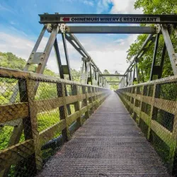 Hauraki Rail Trail - Waihi