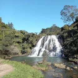 Hauraki Rail Trail - Waihi
