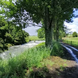Hauraki Rail Trail - Waihi