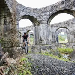 Hauraki Rail Trail - Waihi