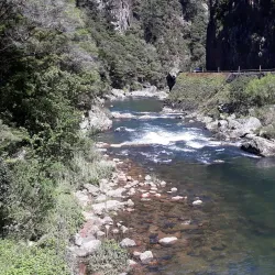 Hauraki Rail Trail - Waihi