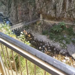 Karangahake Gorge Walkways - Waihi
