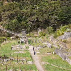Karangahake Gorge Walkways - Waihi