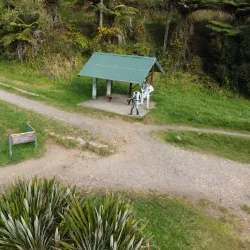 Karangahake Gorge Walkways - Waihi