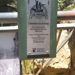 Karangahake Gorge Walkways - Waihi