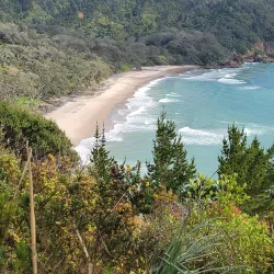 Orokawa Scenic Reserve - Waihi