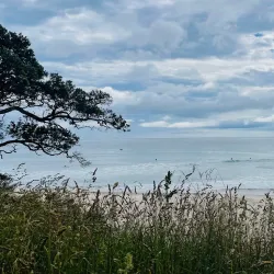 Orokawa Scenic Reserve - Waihi