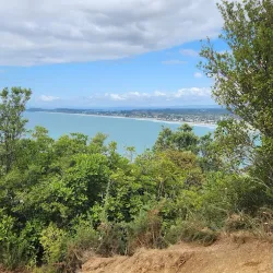 Orokawa Scenic Reserve - Waihi