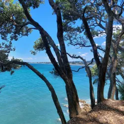 Orokawa Scenic Reserve - Waihi