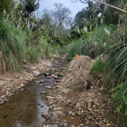 Orokawa Scenic Reserve - Waihi