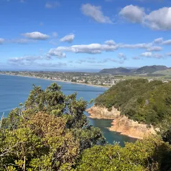 Orokawa Scenic Reserve - Waihi