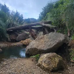 Orokawa Scenic Reserve - Waihi