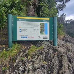 Orokawa Scenic Reserve - Waihi