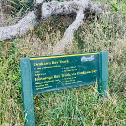 Orokawa Scenic Reserve - Waihi